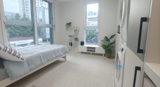 Near Korea University/One Room/Short term available!