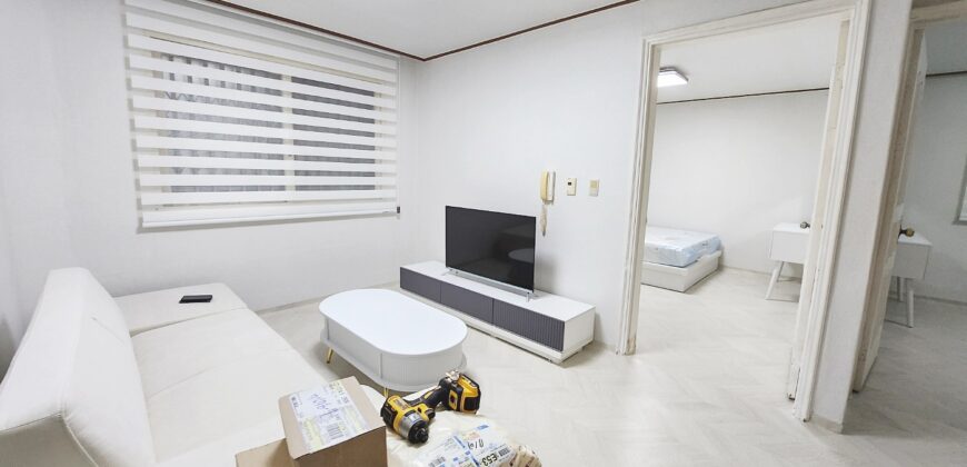 首尔麻浦望远站附近配置齐全两居室2bedroom