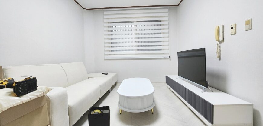 首尔麻浦望远站附近配置齐全两居室2bedroom