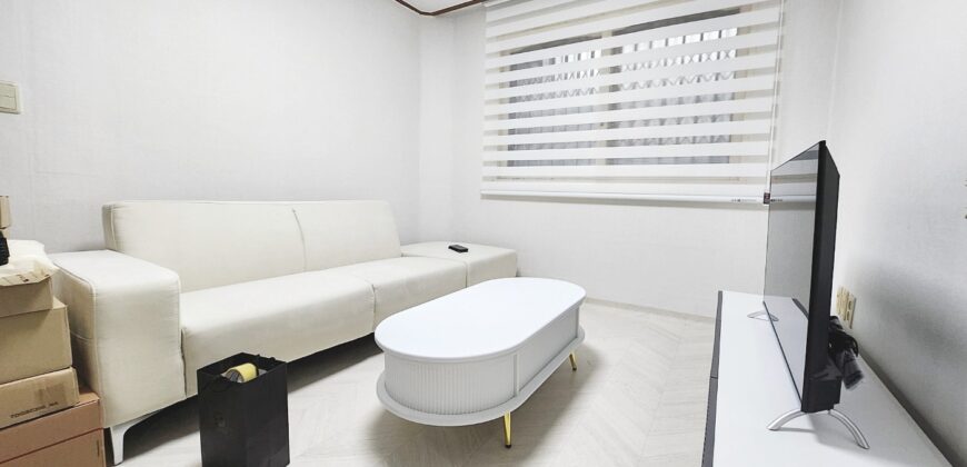 首尔麻浦望远站附近配置齐全两居室2bedroom