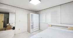 首尔麻浦望远站附近配置齐全两居室2bedroom