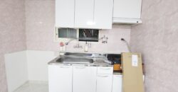 首尔麻浦望远站附近配置齐全两居室2bedroom