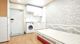 首尔水逾站(4号线)附近 一居室oneroom