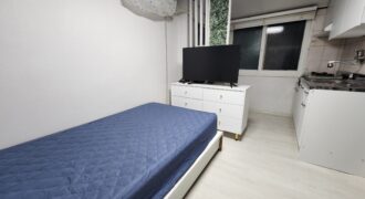 Newly renovated studio near Hongdae stn
