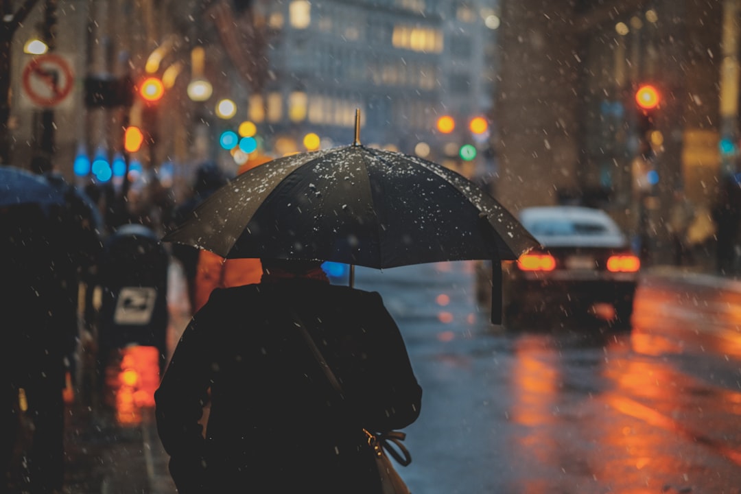 韩国梅雨季生存指南: 外国居民实用手册