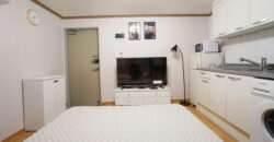 Cozy Studio Near Hongdae & Hongik University